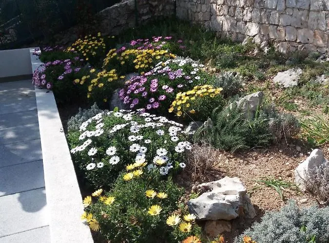 House Hébergement de vacances Vinišće